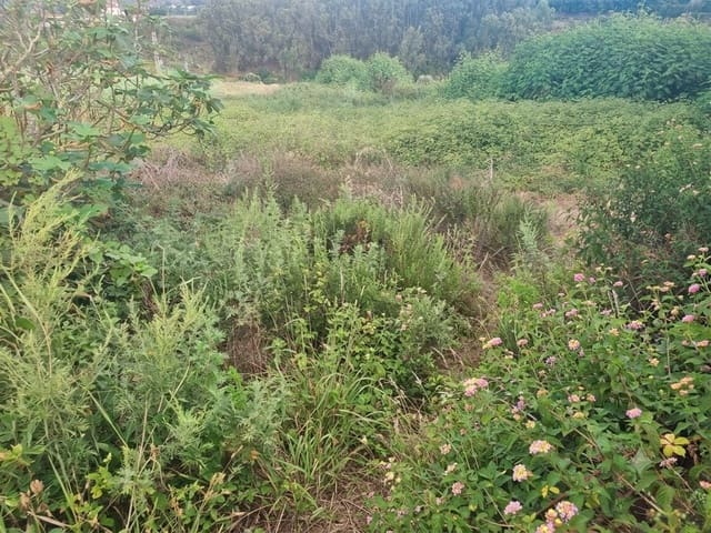 Grond te koop in Firgas - € 5.358 (Ref: 10054522)
