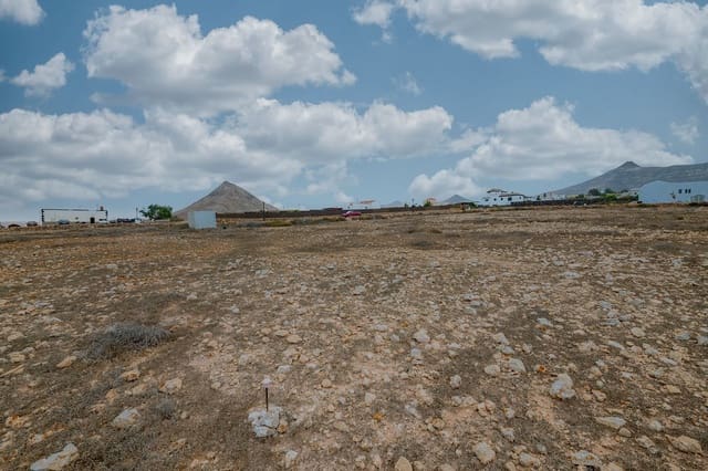 Teren niezagospodarowany na sprzedaż w Tindaya, La Oliva - 160 000 € (Ref: 10115435)