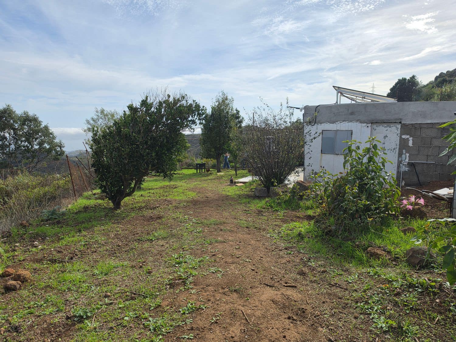 1 soveværelse Finca/Landehus til salg i Vega de San Mateo med garage - € 85.000 (Ref: 10162086)