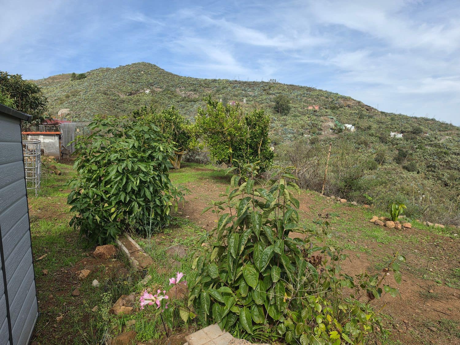 1 soveværelse Finca/Landehus til salg i Vega de San Mateo med garage - € 85.000 (Ref: 10162086)