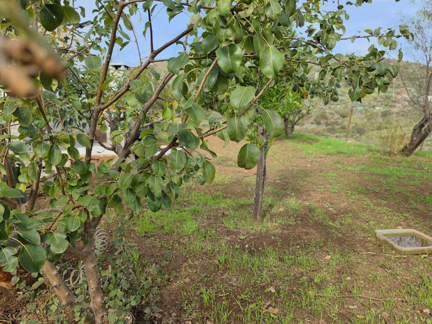 1 soveværelse Finca/Landehus til salg i Vega de San Mateo med garage - € 85.000 (Ref: 10162086)