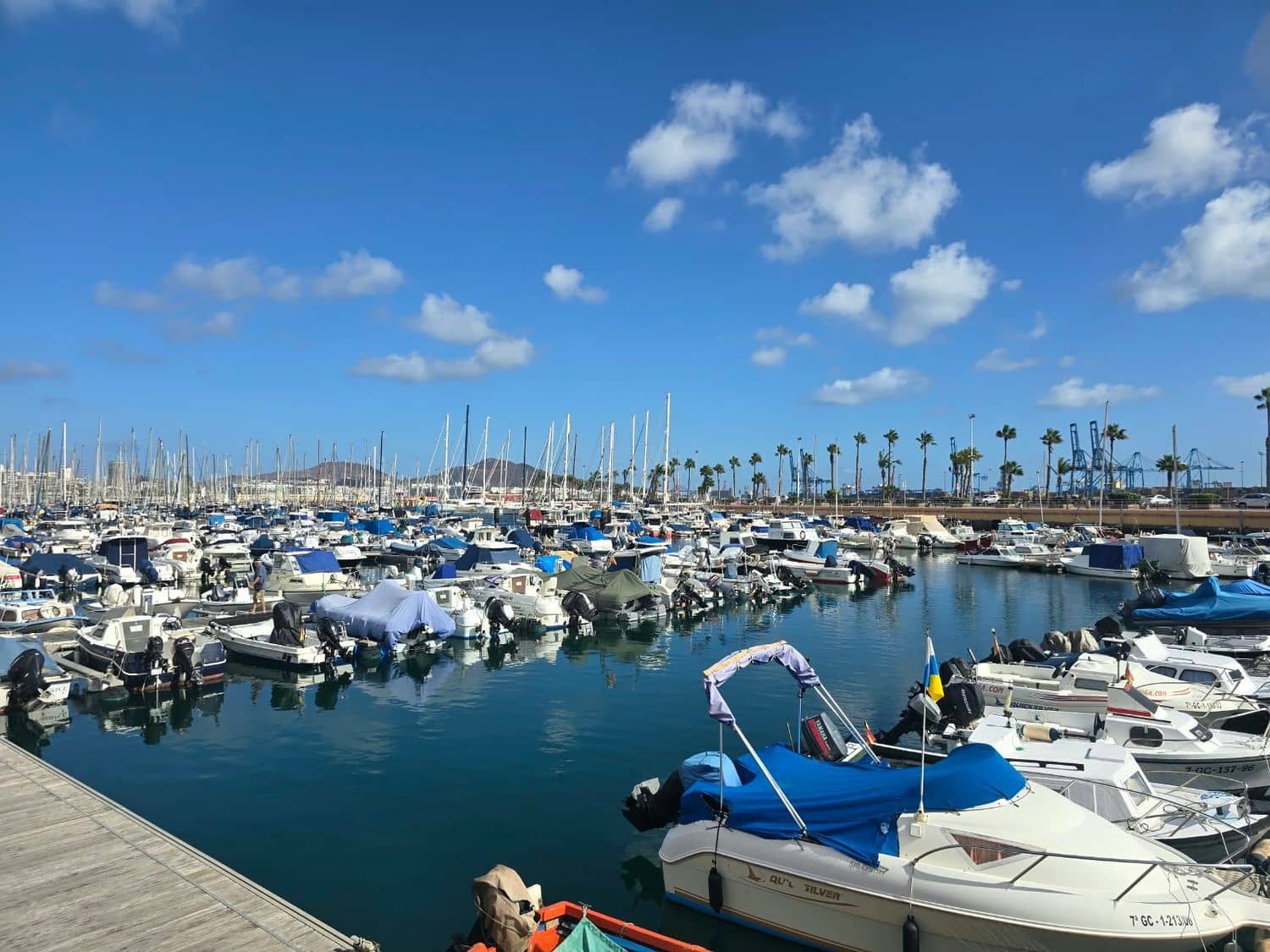 Erhverv til leje i Las Palmas de Gran Canaria - € 1.550 (Ref: 10164006)