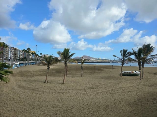 Commercial for rent in Ciudad Jardín, Las Palmas de Gran Canaria - € 1,550 (Ref: 10164006)
