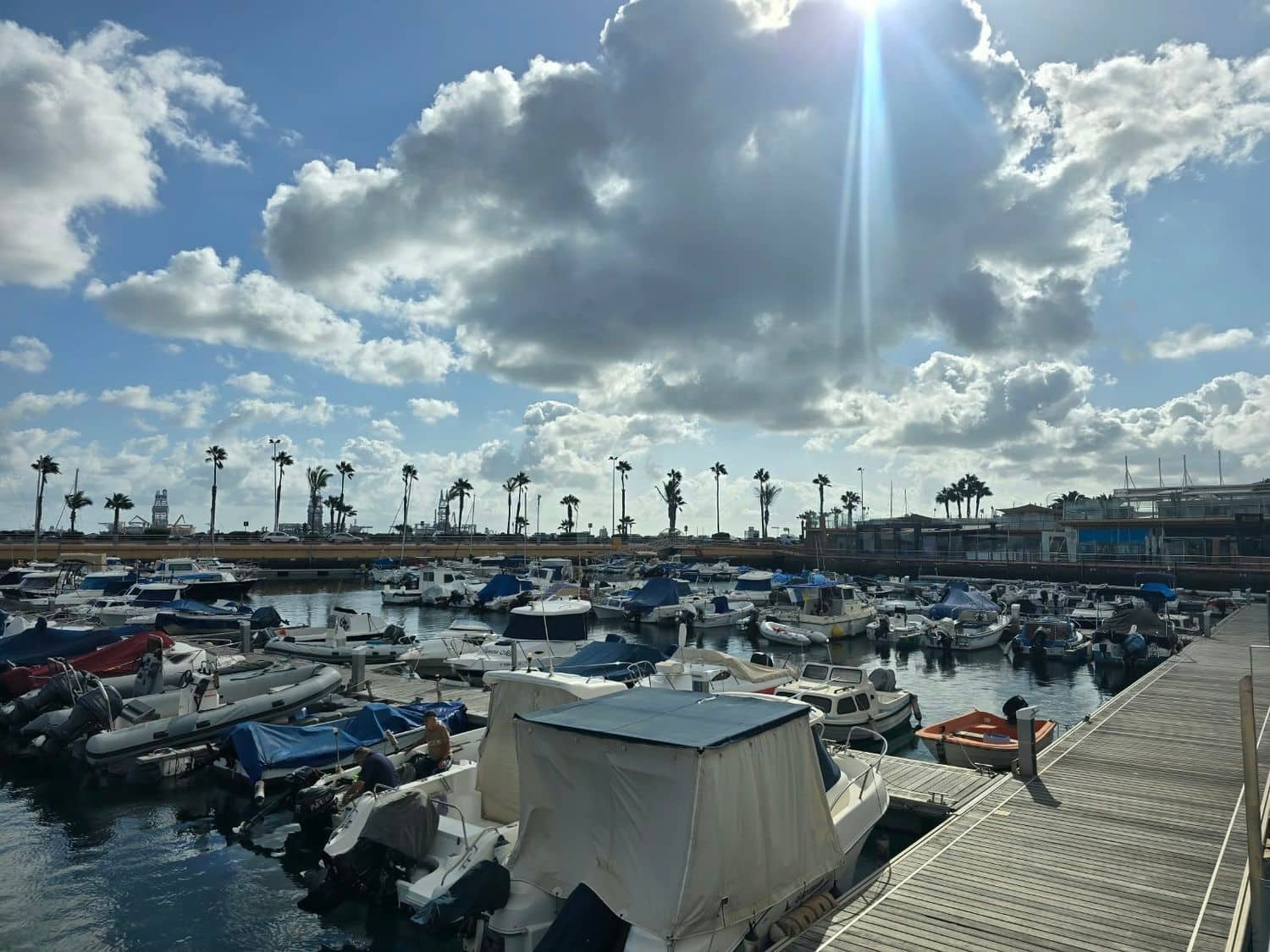 Erhverv til leje i Las Palmas de Gran Canaria - € 1.550 (Ref: 10164006)