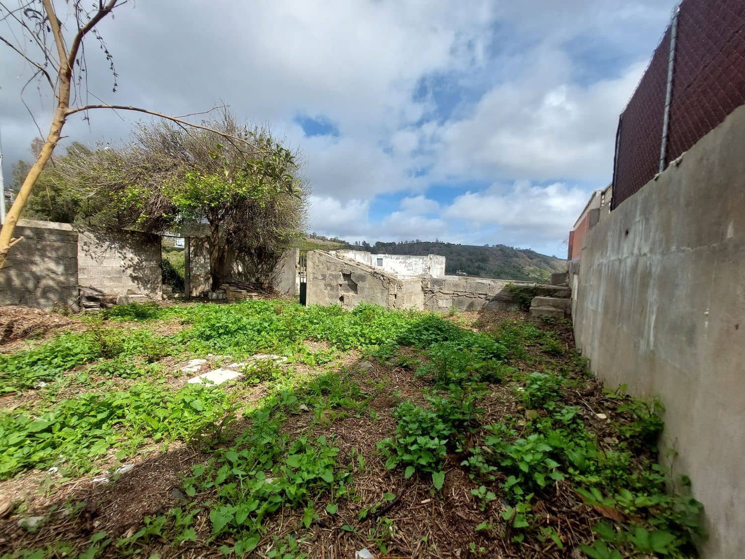Ruin til salg i Arucas - € 73.500 (Ref: 4201151)