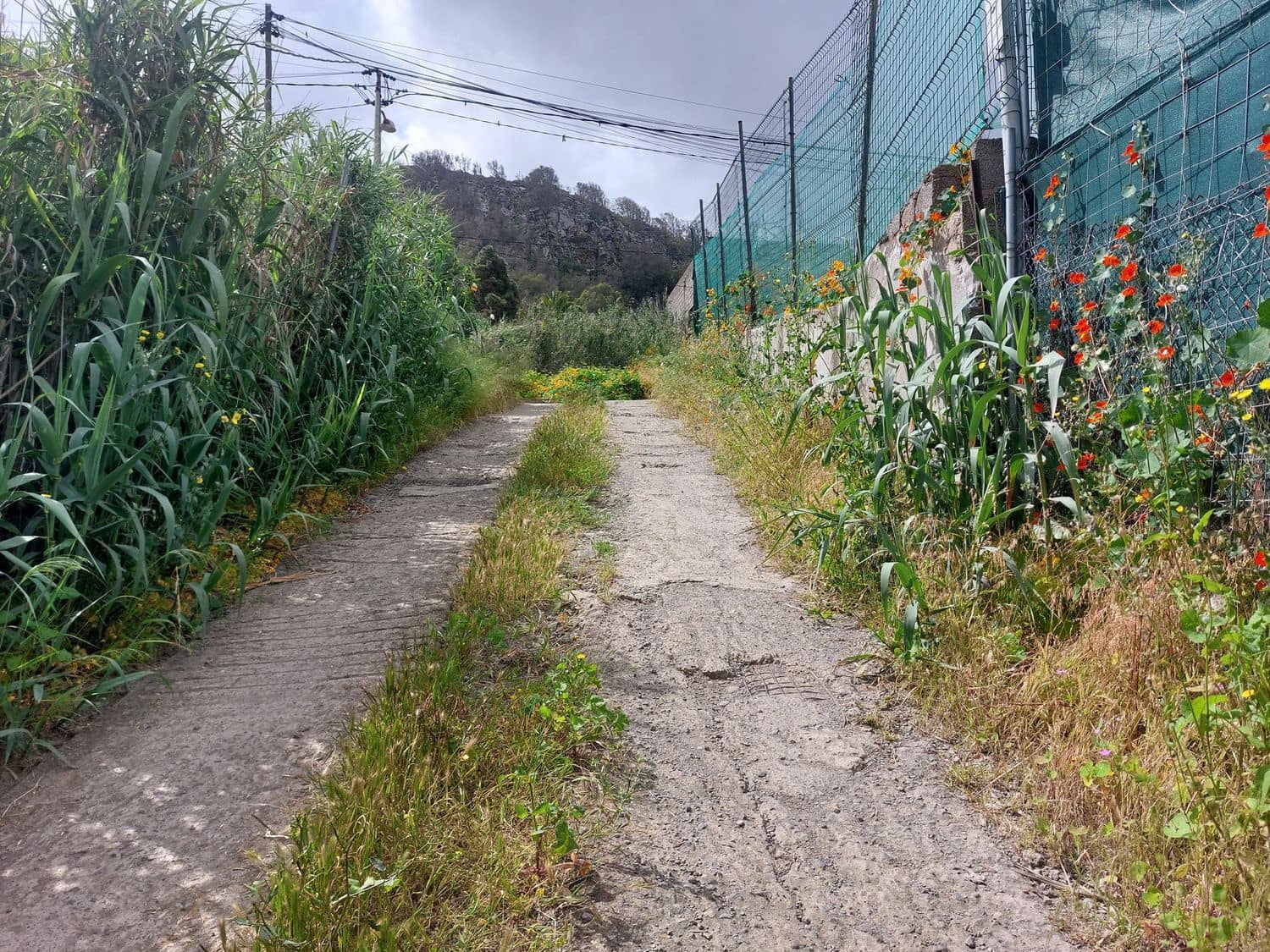 Ruin til salg i Arucas - € 73.500 (Ref: 4201151)