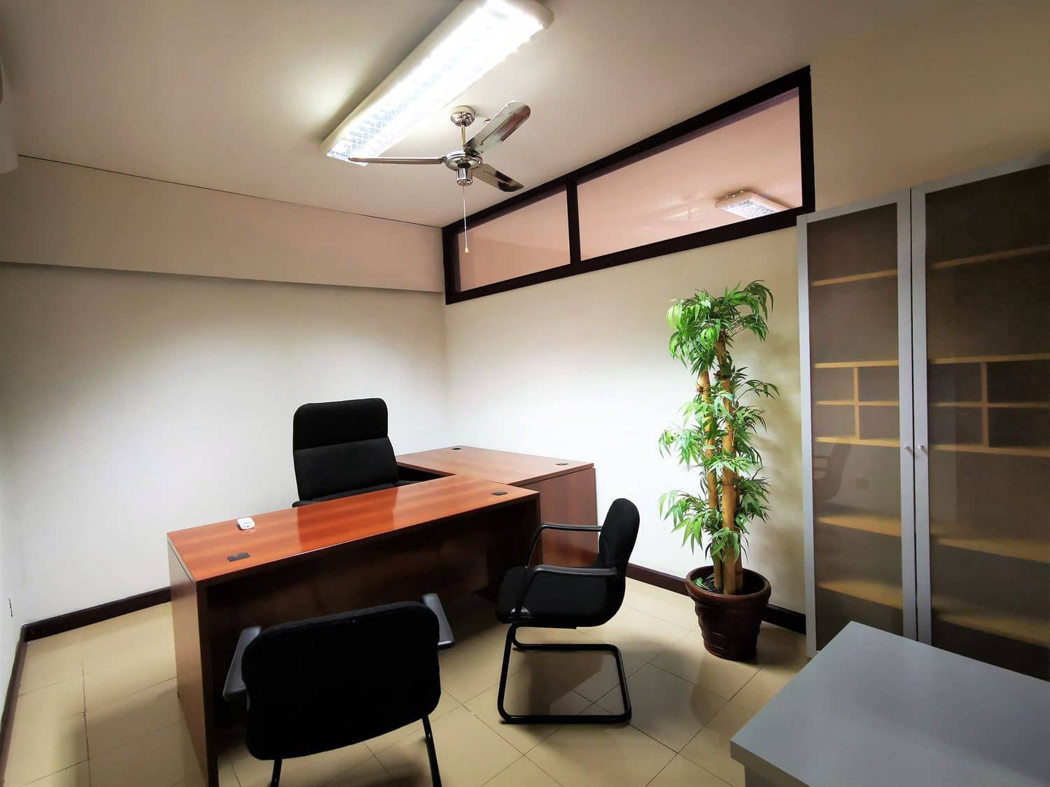 Bureau à louer à Las Palmas de Gran Canaria - 300 € (Ref: 5667362)