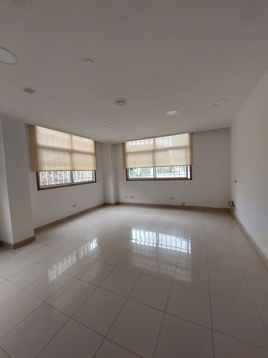 Oficina en Las Palmas de Gran Canaria en alquiler - 390 € (Ref: 7821044)