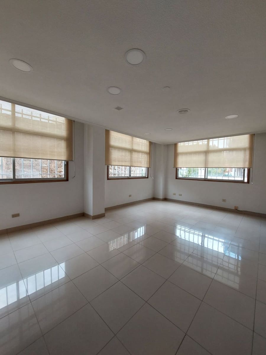 Oficina en Las Palmas de Gran Canaria en alquiler - 390 € (Ref: 7821044)