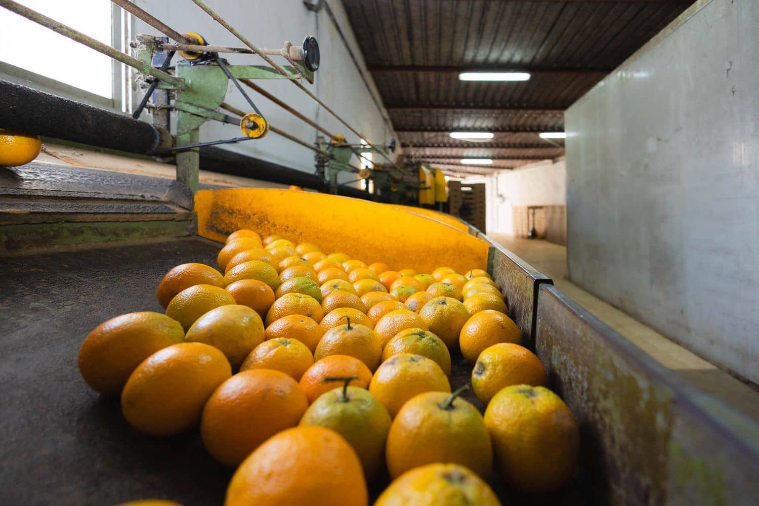 6 soveværelse Finca/Landehus til salg i Firgas med garage - € 414.000 (Ref: 8351771)