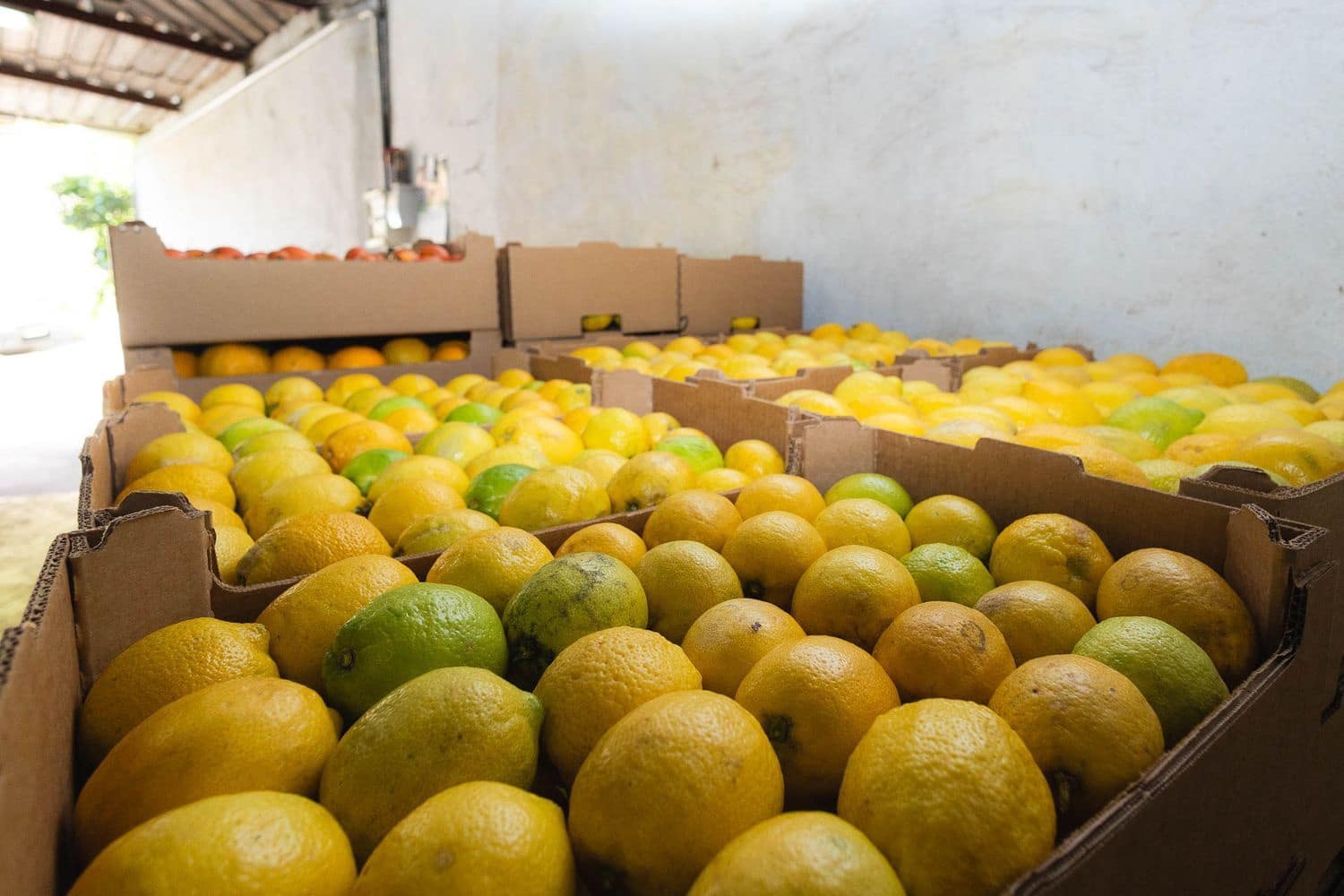 6 soveværelse Finca/Landehus til salg i Firgas med garage - € 414.000 (Ref: 8351771)