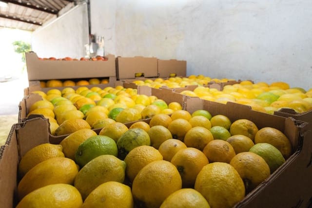 6 soverom Finca/Herregård til salgs i Firgas med garasje - € 414 000 (Ref: 8351771)