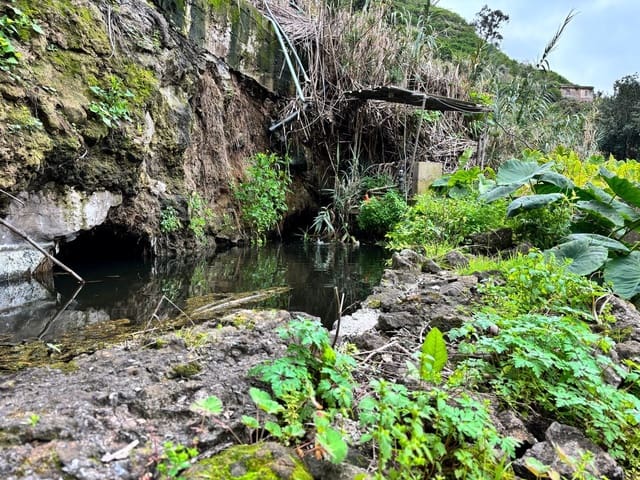 6 soverom Finca/Herregård til salgs i Firgas med garasje - € 414 000 (Ref: 8351771)