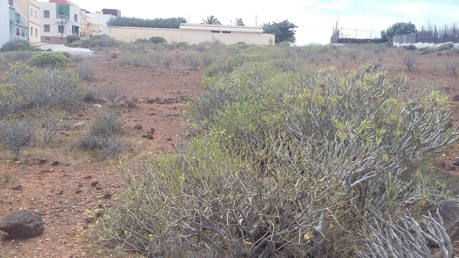 Grunde uden byggetilladelser til salg i Ingenio - € 225.000 (Ref: 8703494)