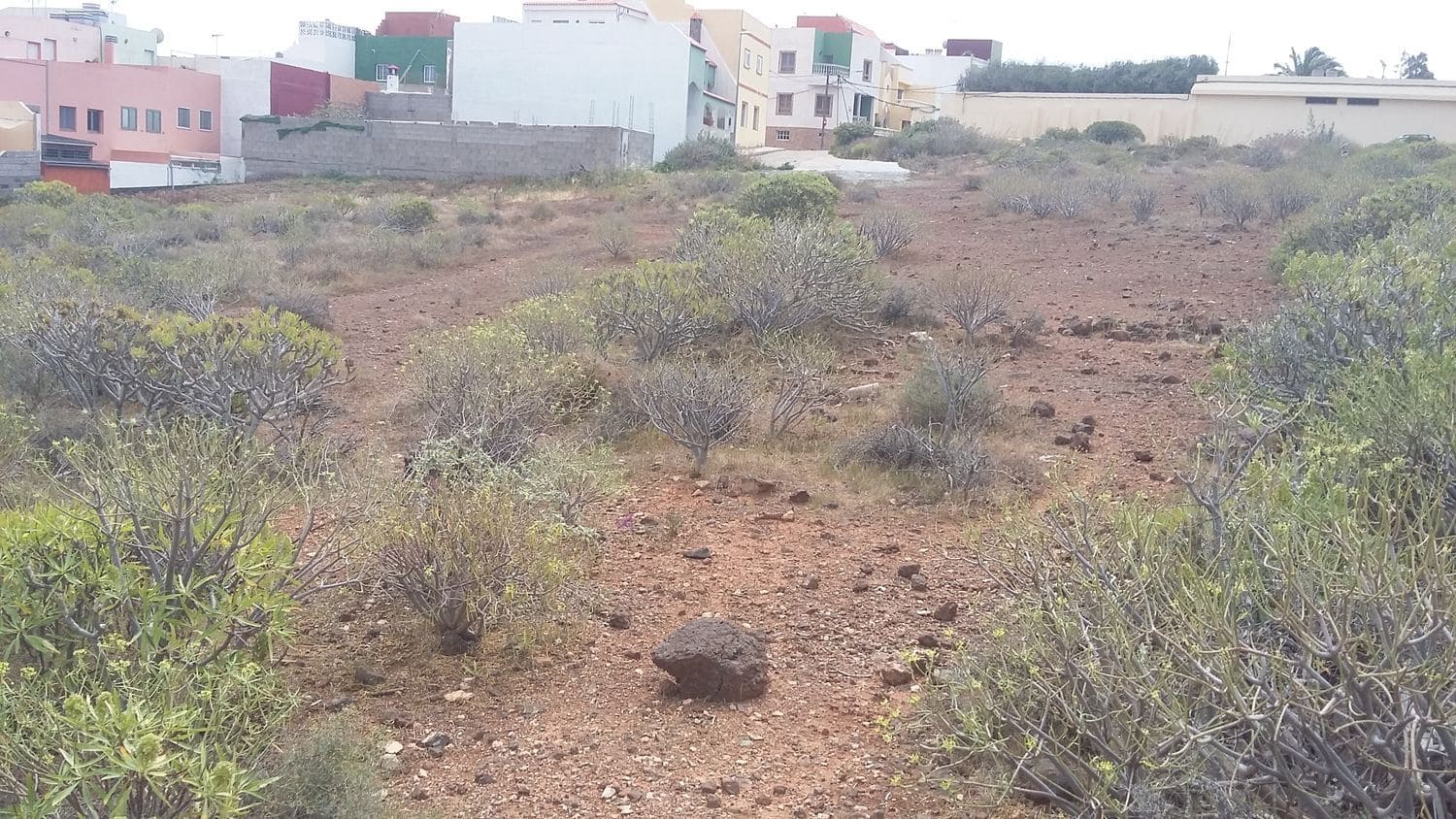 Grunde uden byggetilladelser til salg i Ingenio - € 225.000 (Ref: 8703494)