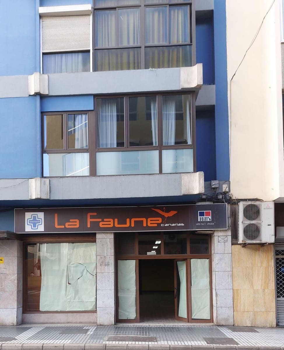 Företag att hyra i Las Palmas de Gran Canaria - 2 300 € (Ref: 8747040)