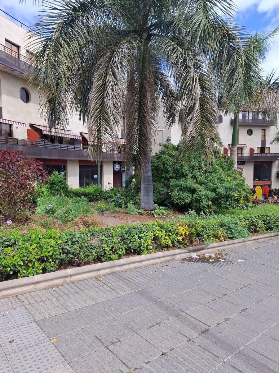 Erhverv til salg i Las Palmas de Gran Canaria - € 175.000 (Ref: 8894367)