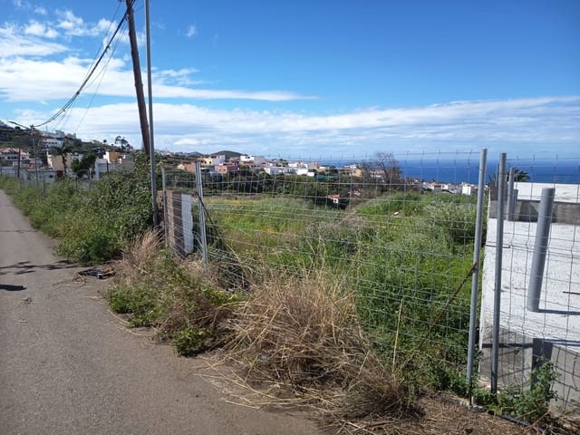 Terreno Non Edificato in vendita in Firgas - 43.500 € (Rif: 8917660)