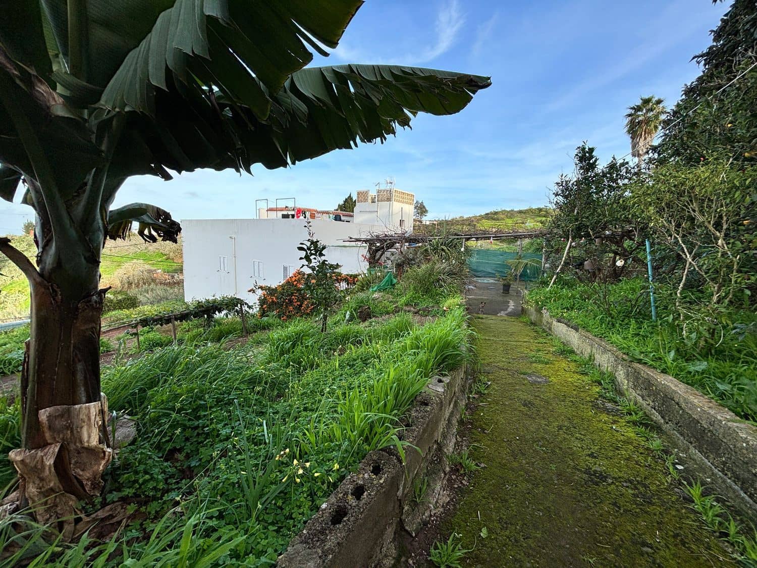 4 slaapkamer Villa te koop in Firgas met garage - € 319.900 (Ref: 8928362)