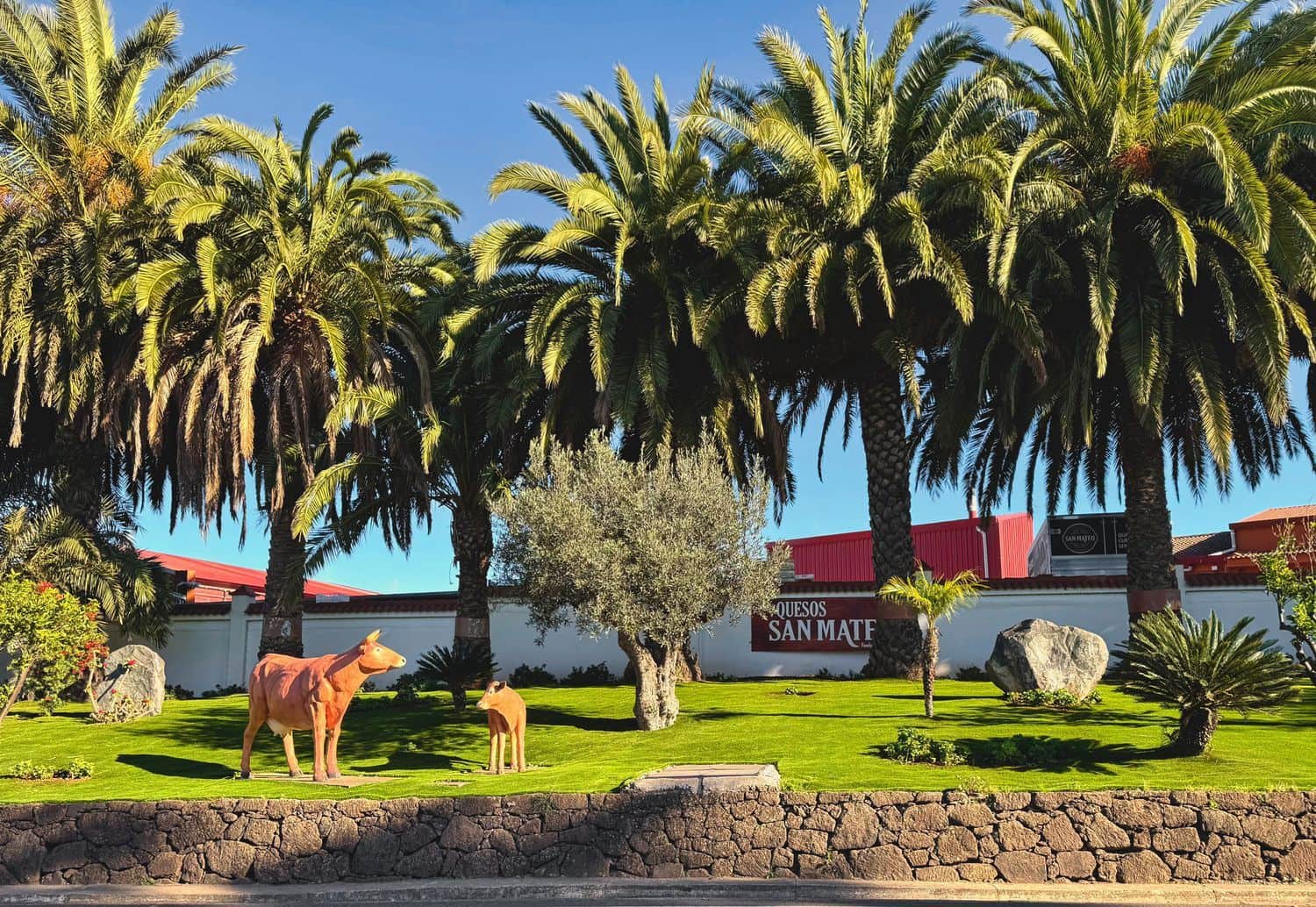 2 slaapkamer Appartement te koop in Vega de San Mateo - € 98.200 (Ref: 9002815)