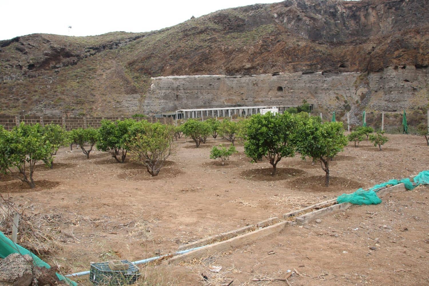 3 soveværelse Finca/Landehus til salg i Las Palmas de Gran Canaria med garage - € 590.000 (Ref: 9136853)