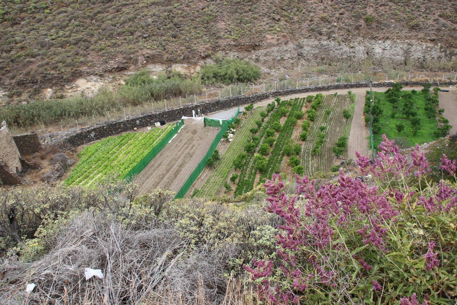 3 soveværelse Finca/Landehus til salg i Las Palmas de Gran Canaria med garage - € 590.000 (Ref: 9136853)