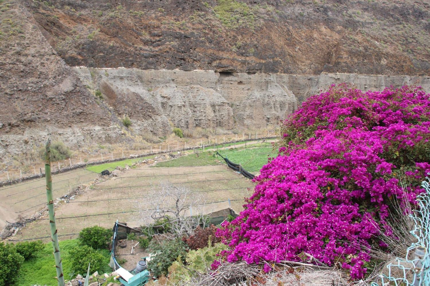 3 soveværelse Finca/Landehus til salg i Las Palmas de Gran Canaria med garage - € 590.000 (Ref: 9136853)