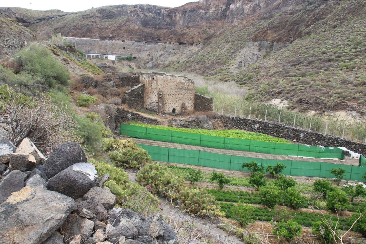 3 soveværelse Finca/Landehus til salg i Las Palmas de Gran Canaria med garage - € 590.000 (Ref: 9136853)