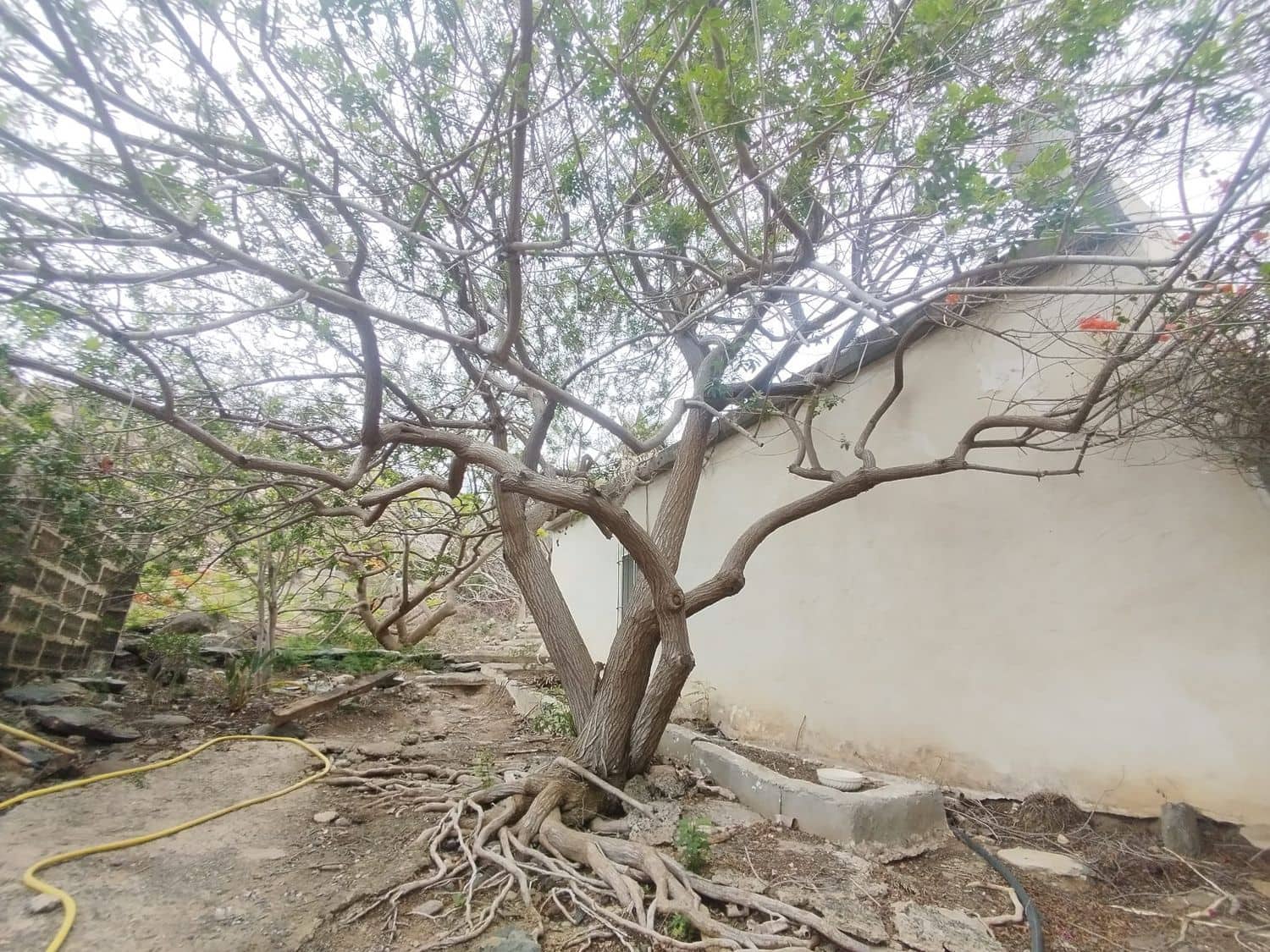 3 soveværelse Finca/Landehus til salg i Las Palmas de Gran Canaria med garage - € 590.000 (Ref: 9136853)