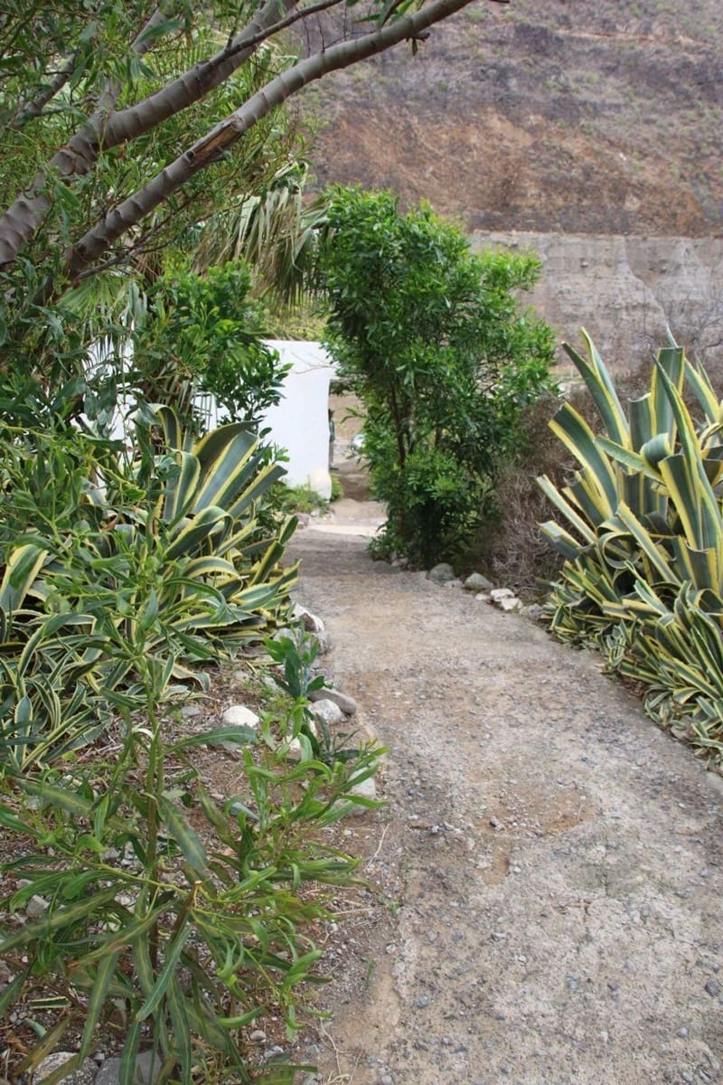 Grond te koop in Las Palmas de Gran Canaria - € 590.000 (Ref: 9151616)