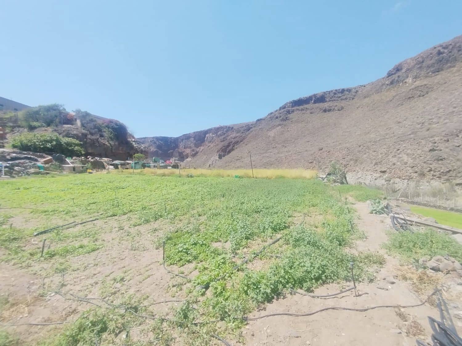 Grond te koop in Las Palmas de Gran Canaria - € 590.000 (Ref: 9151616)