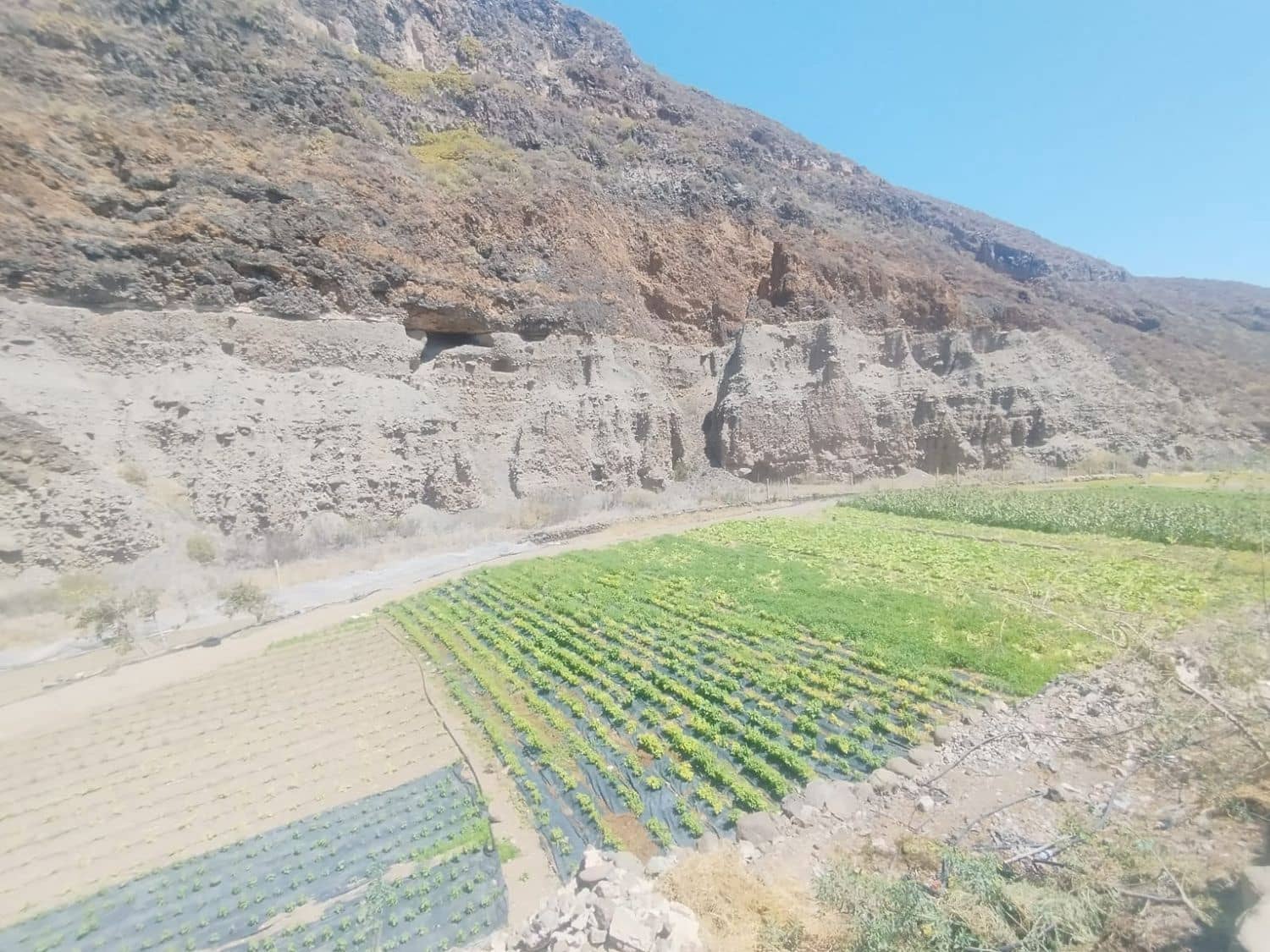 Grond te koop in Las Palmas de Gran Canaria - € 590.000 (Ref: 9151616)