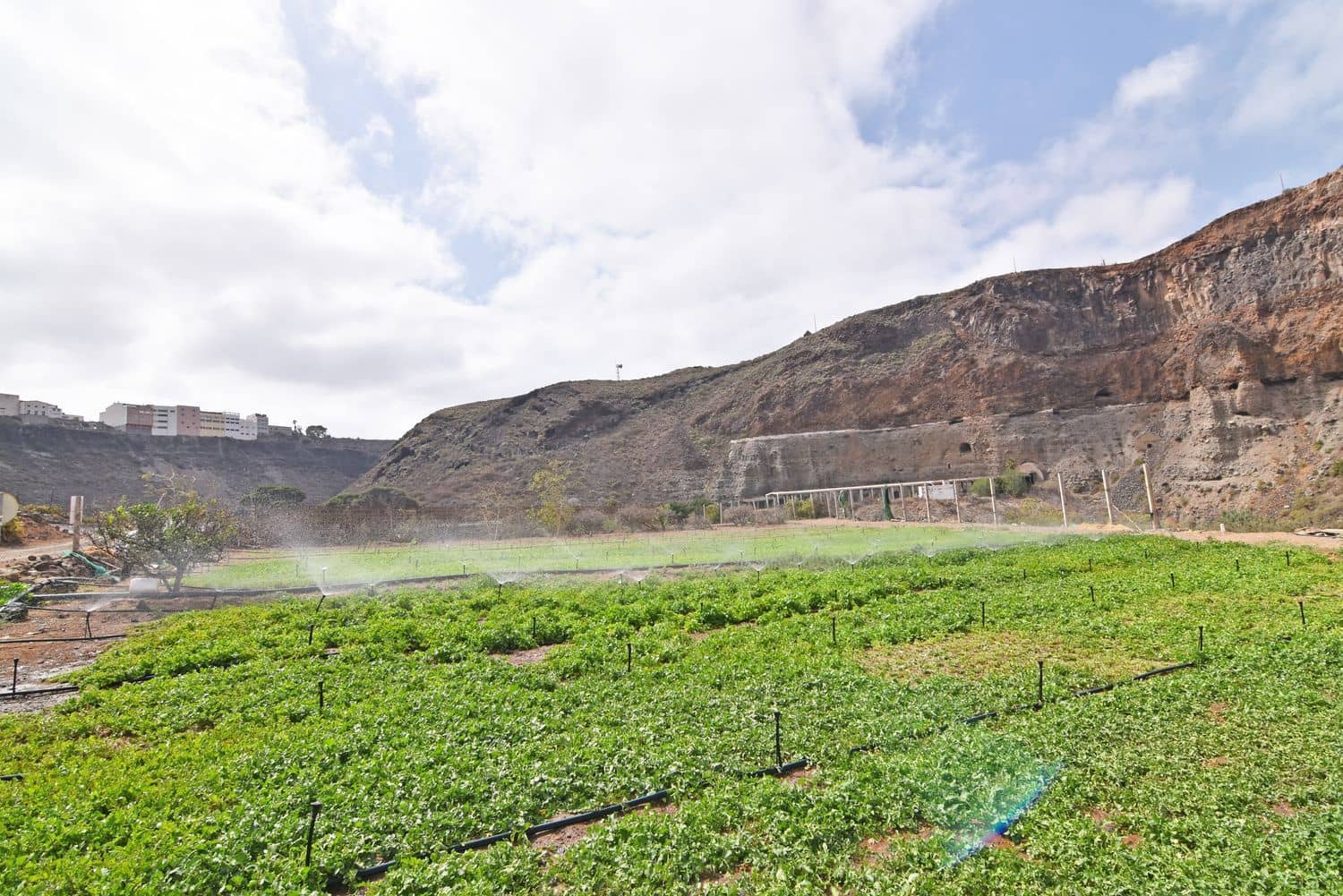 Grond te koop in Las Palmas de Gran Canaria - € 590.000 (Ref: 9151616)