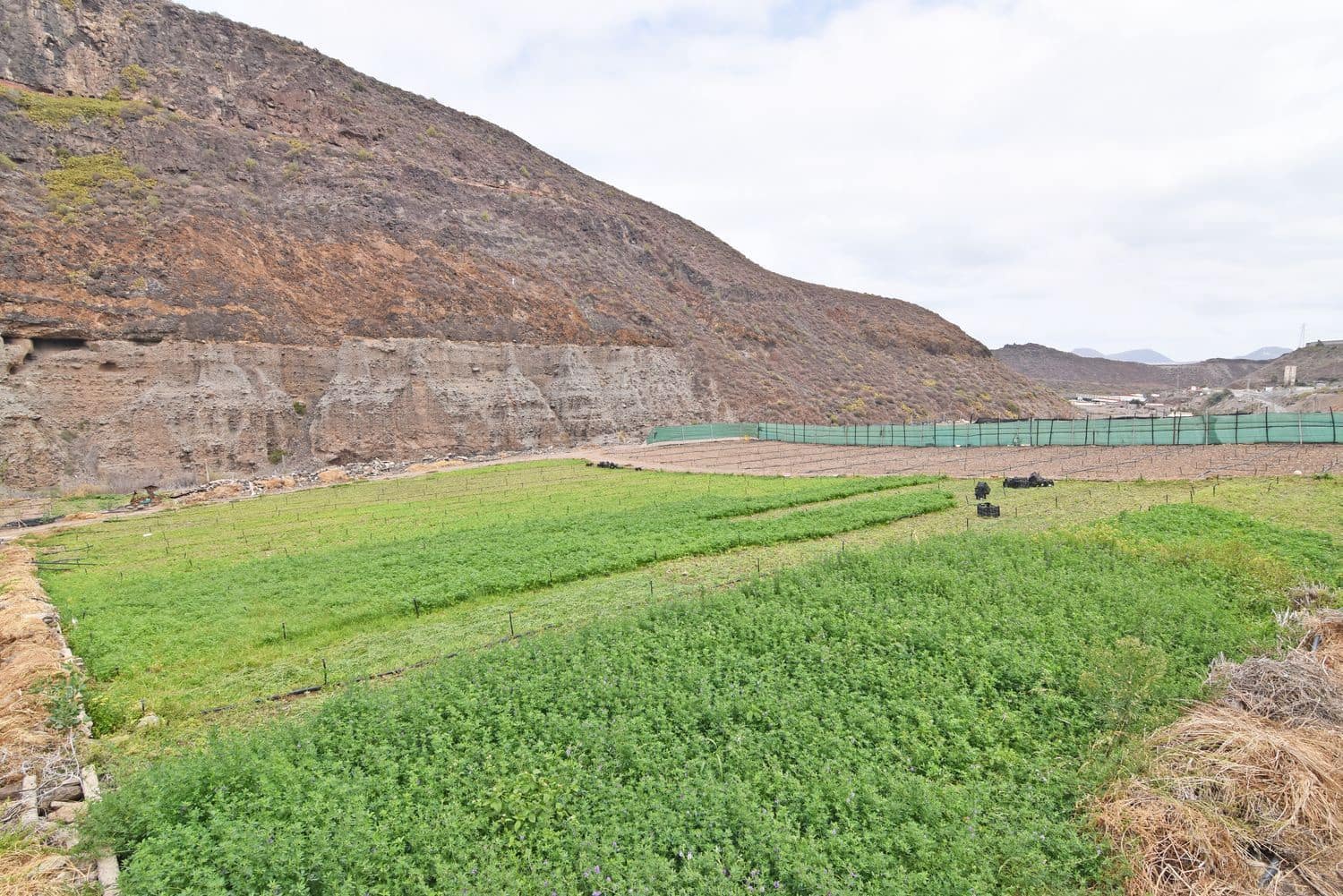 Grond te koop in Las Palmas de Gran Canaria - € 590.000 (Ref: 9151616)