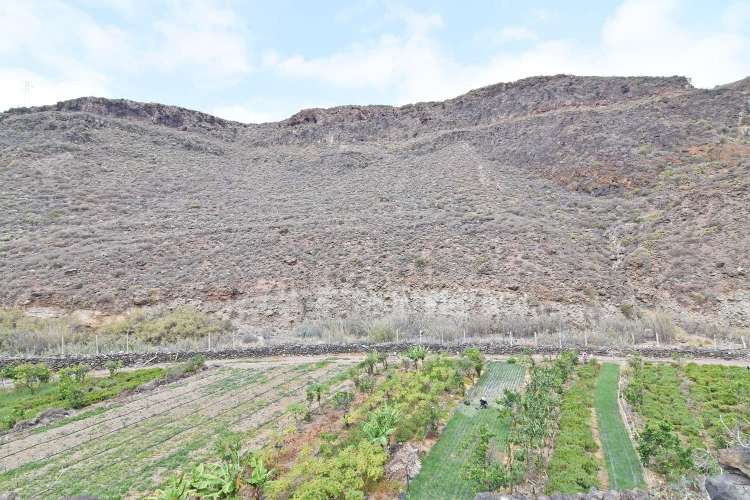 Grond te koop in Las Palmas de Gran Canaria - € 590.000 (Ref: 9151616)