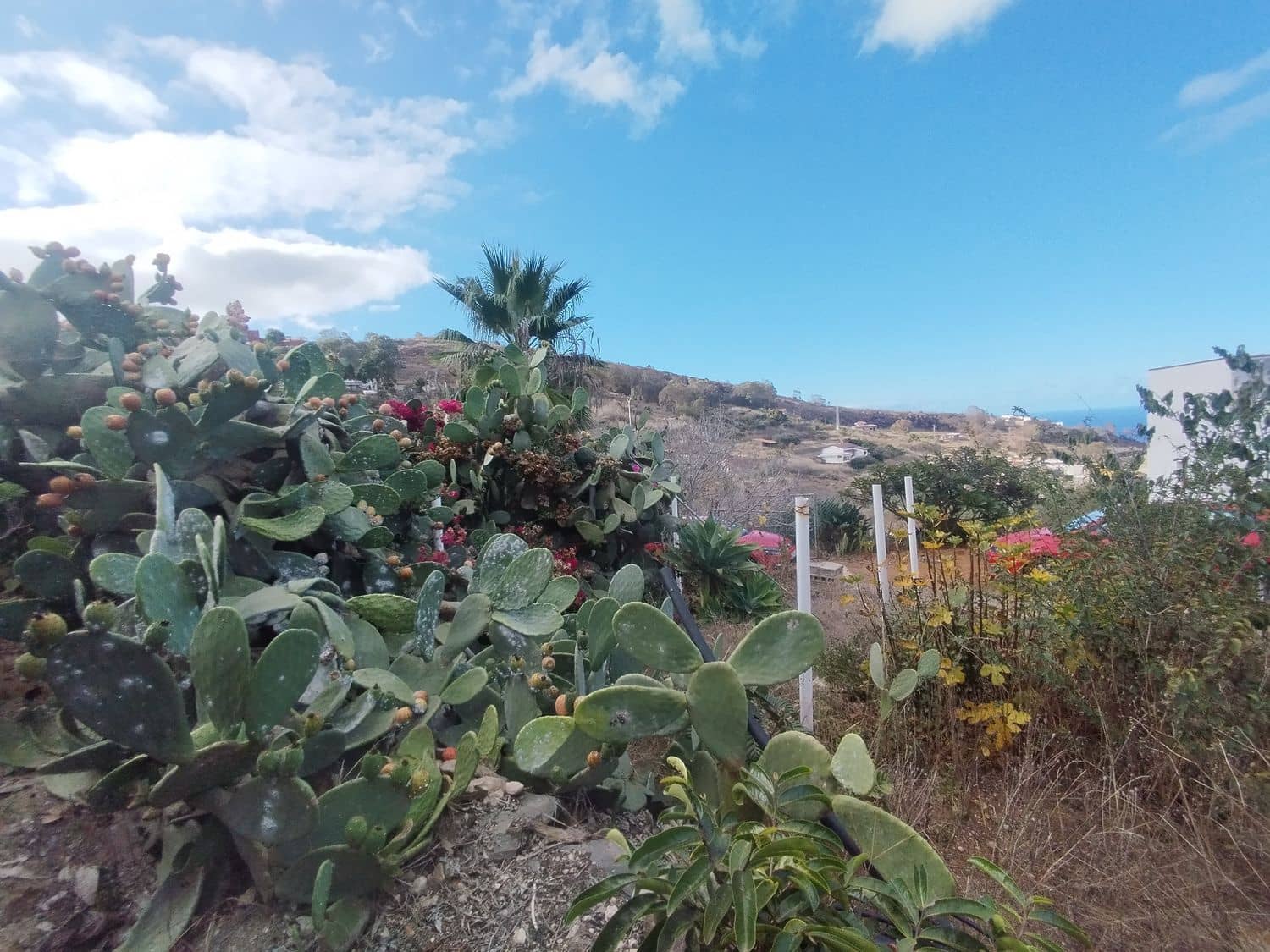 3 soveværelse Finca/Landehus til leje i Santa Maria de Guia de Gran Canaria med garage - € 990 (Ref: 9268982)