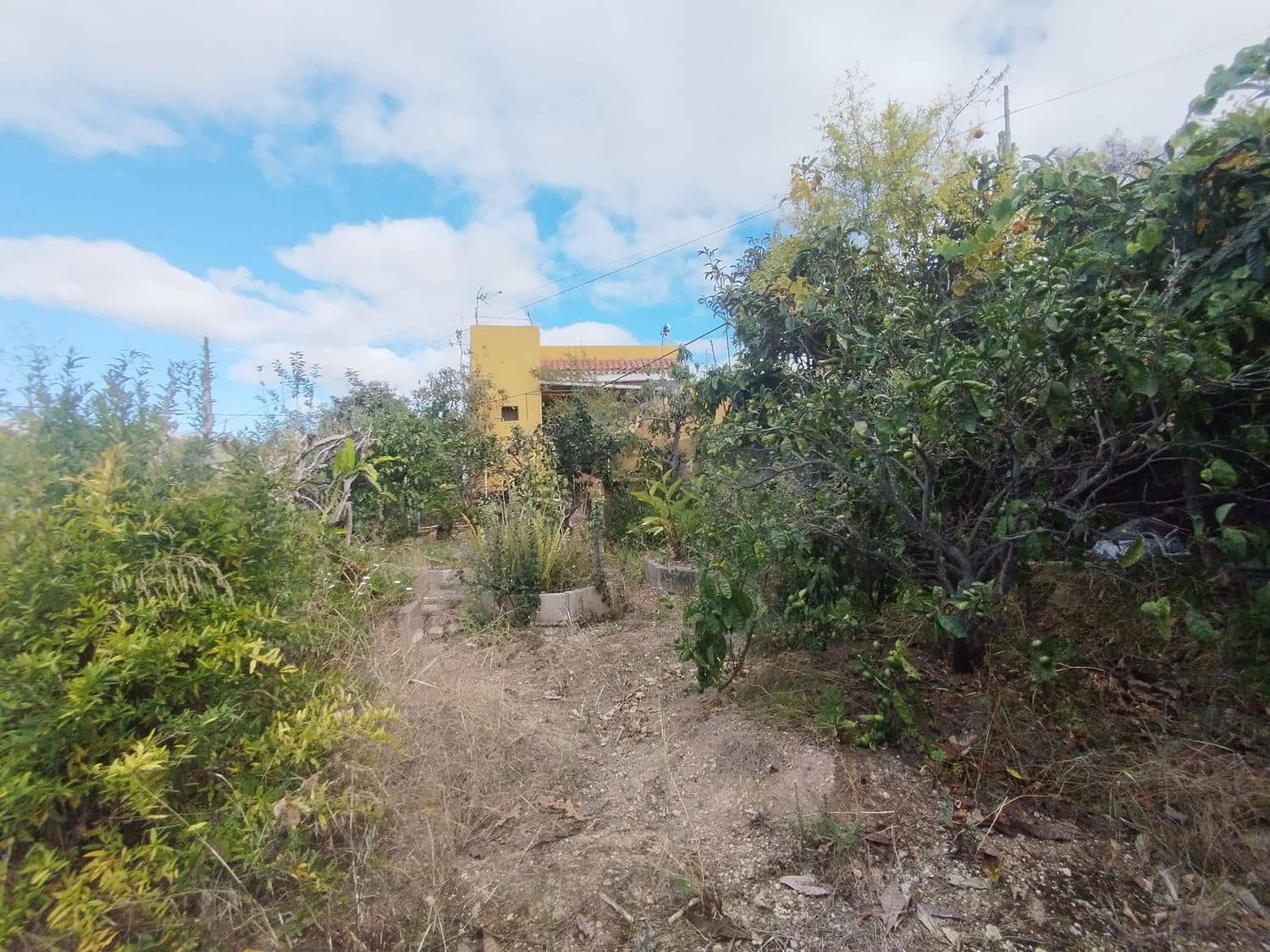 3 soveværelse Finca/Landehus til leje i Santa Maria de Guia de Gran Canaria med garage - € 990 (Ref: 9268982)