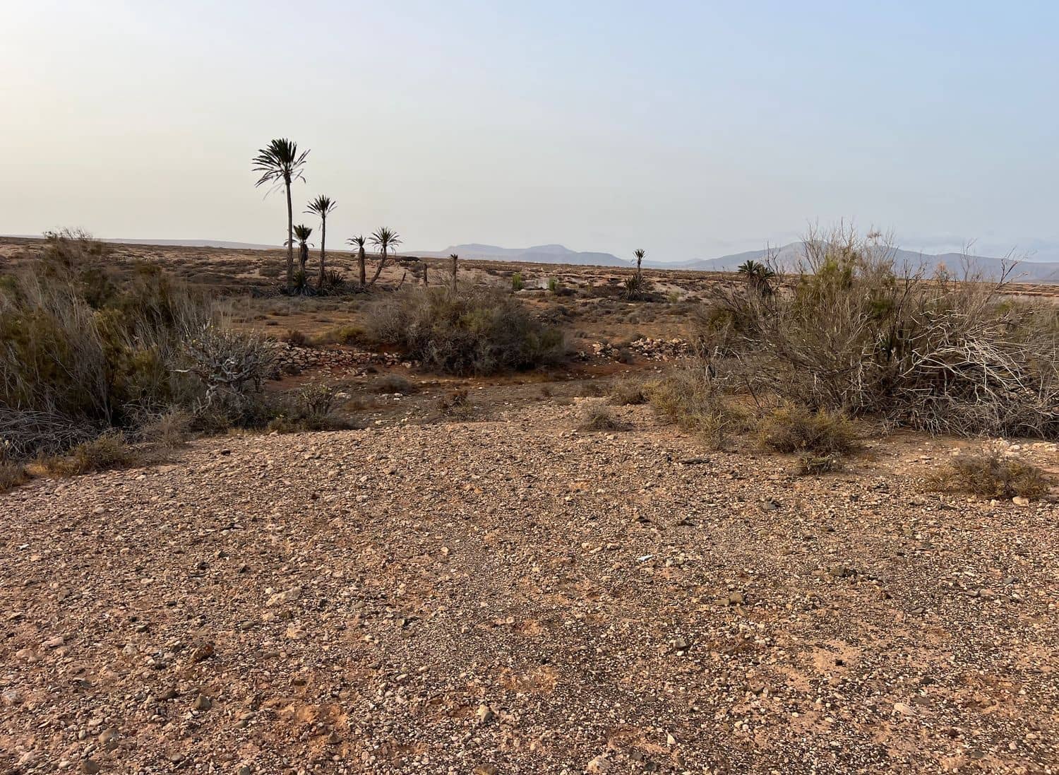 Ubebygd land til salgs i Antigua - € 120 000 (Ref: 9321436)