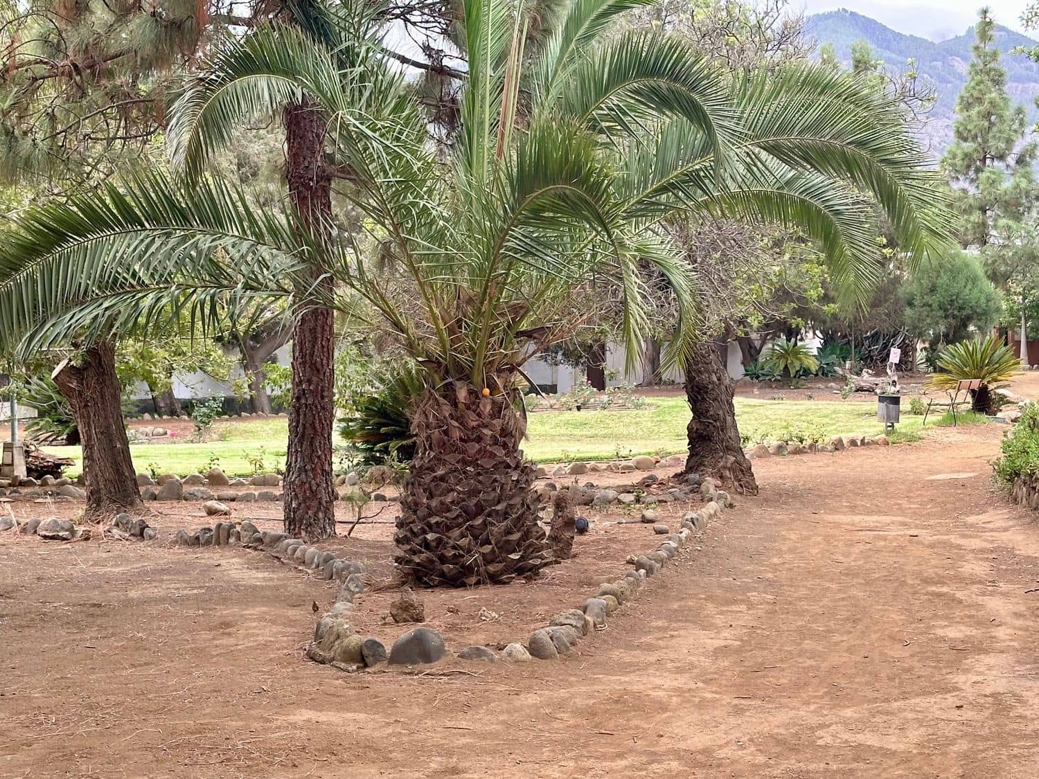 5 chambre Villa/Maison à vendre à Valsequillo avec piscine garage - 350 000 € (Ref: 9371351)