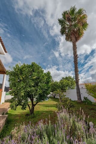 2 soverom Finca/Herregård til salgs i Valsequillo med svømmebasseng garasje - € 300 000 (Ref: 9421798)