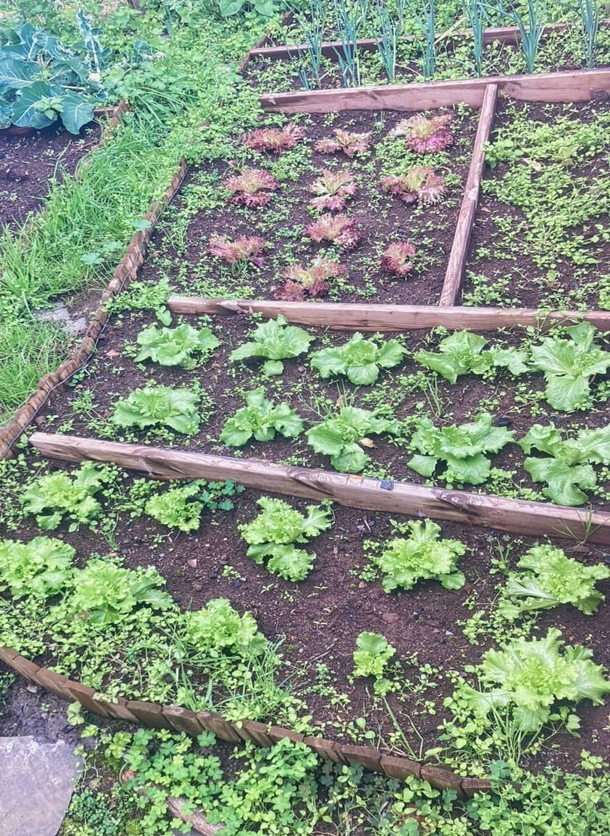 2 camera da letto Finca/Casa di Campagna in vendita in Valsequillo con piscina garage - 300.000 € (Rif: 9421798)