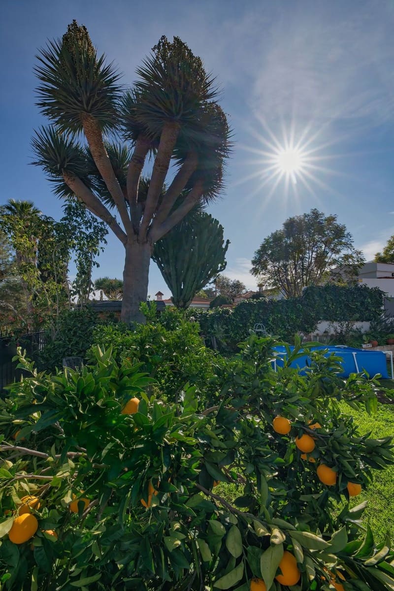 4 quarto Quinta/Casa Rural para venda em Valsequillo com garagem - 298 400 € (Ref: 9524024)