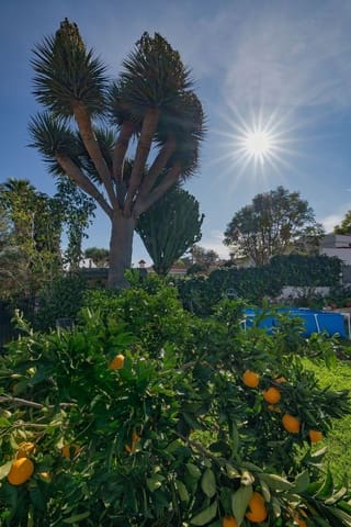 4 quarto Quinta/Casa Rural para venda em Valsequillo com garagem - 298 400 € (Ref: 9524024)