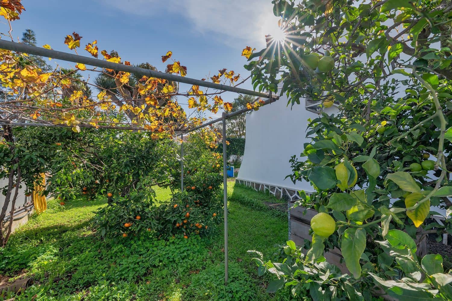 4 quarto Quinta/Casa Rural para venda em Valsequillo com garagem - 298 400 € (Ref: 9524024)