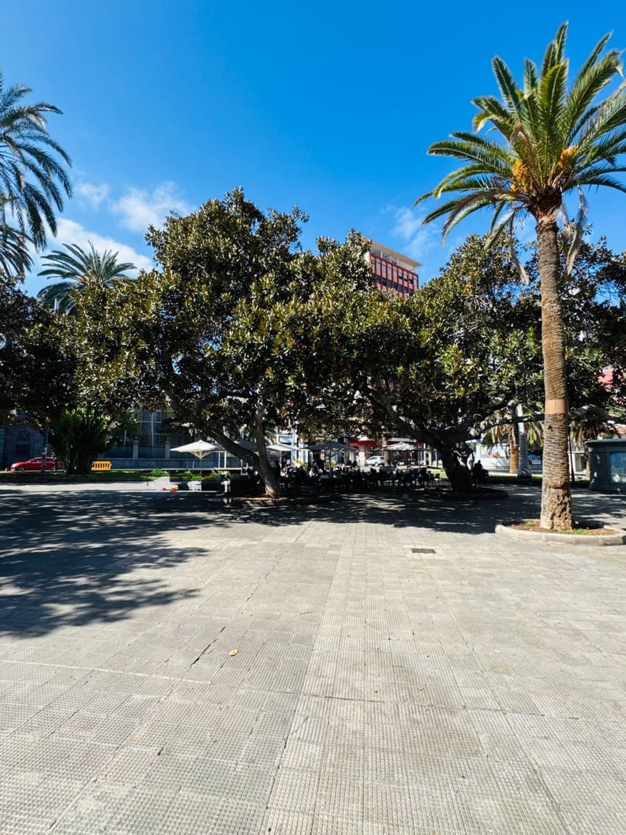 Apartamento de 4 habitaciones en Las Palmas de Gran Canaria en venta con garaje - 350.000 € (Ref: 9550561)