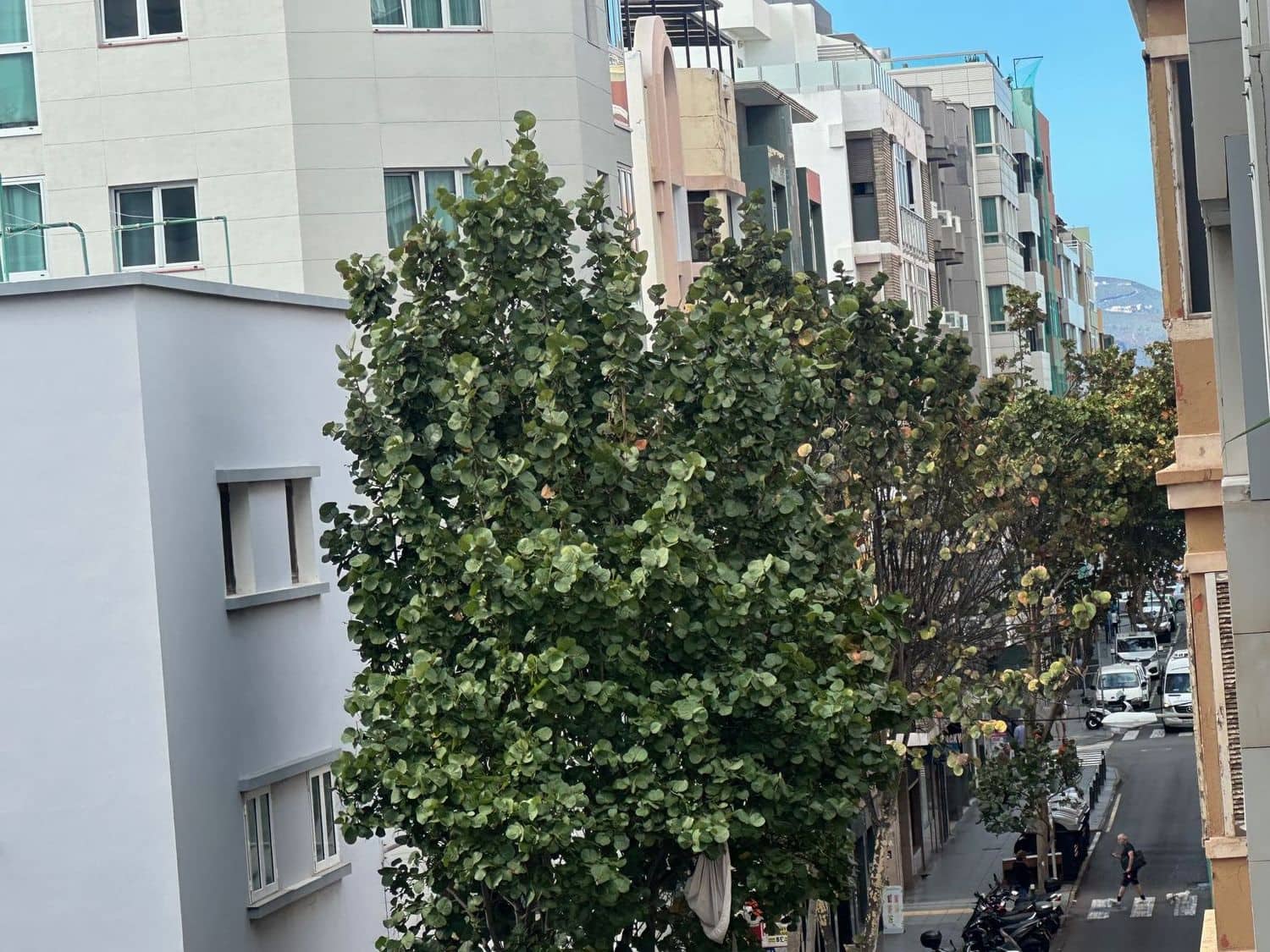 2 makuuhuone Huoneisto myytävänä paikassa Las Palmas de Gran Canaria mukana 
autotalli - 375 000 € (Ref: 9629545)