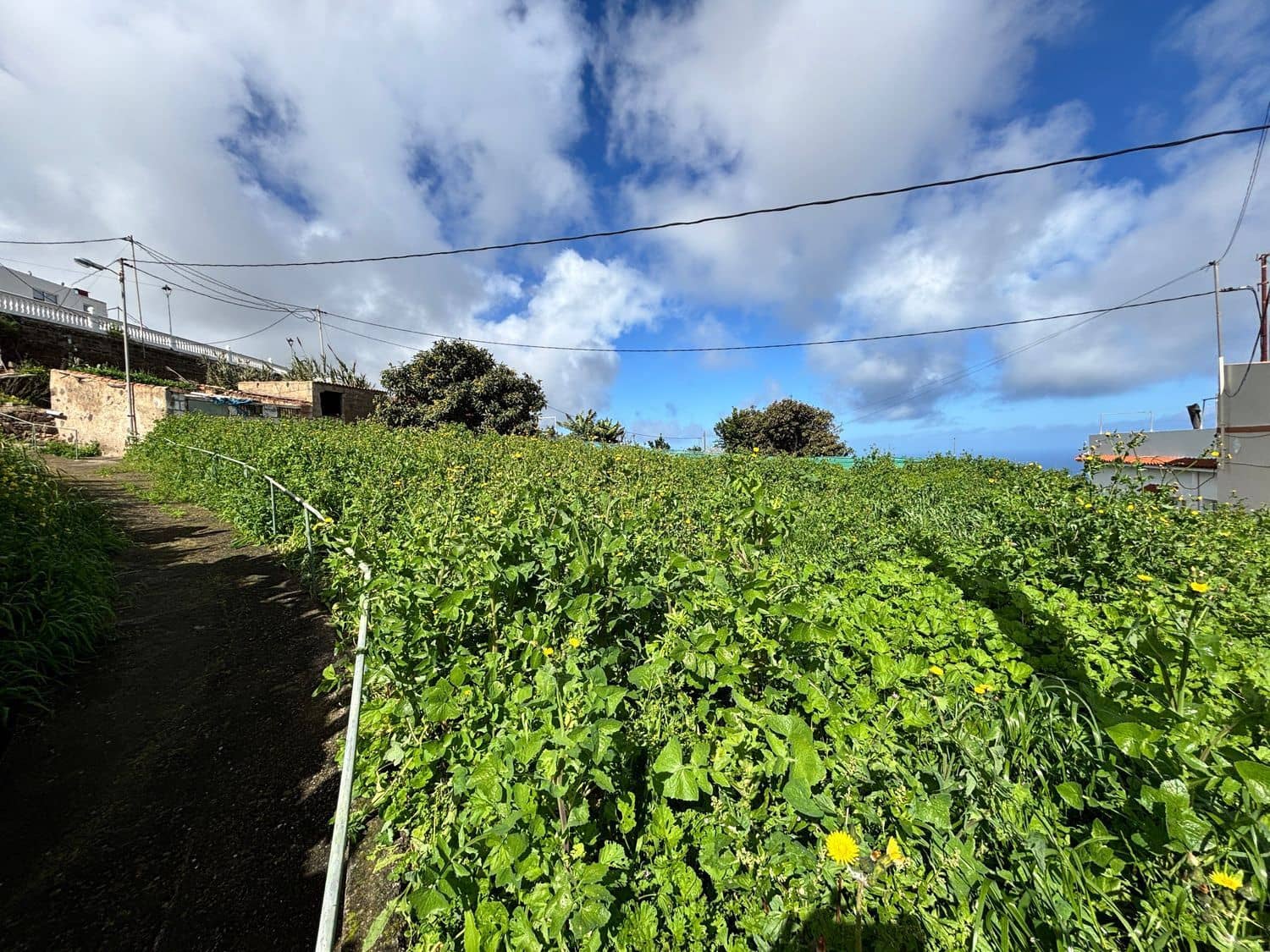 Landgrundstück zu verkaufen in Firgas - 16.999 € (Ref: 9643701)