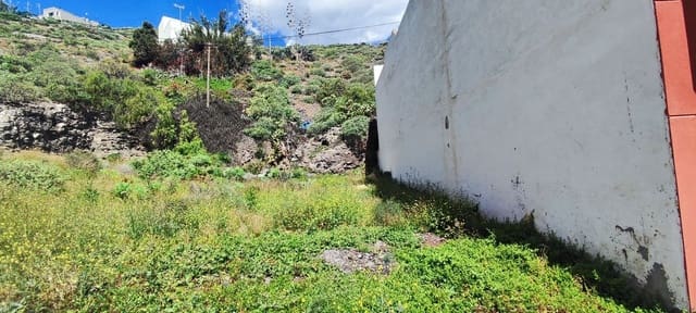Terreno Não Urbanizado para venda em San Cristóbal - Playa de la Laja, Las Palmas de Gran Canaria - 80 000 € (Ref: 9747426)