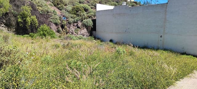 Terreno Não Urbanizado para venda em San Cristóbal - Playa de la Laja, Las Palmas de Gran Canaria - 80 000 € (Ref: 9747426)