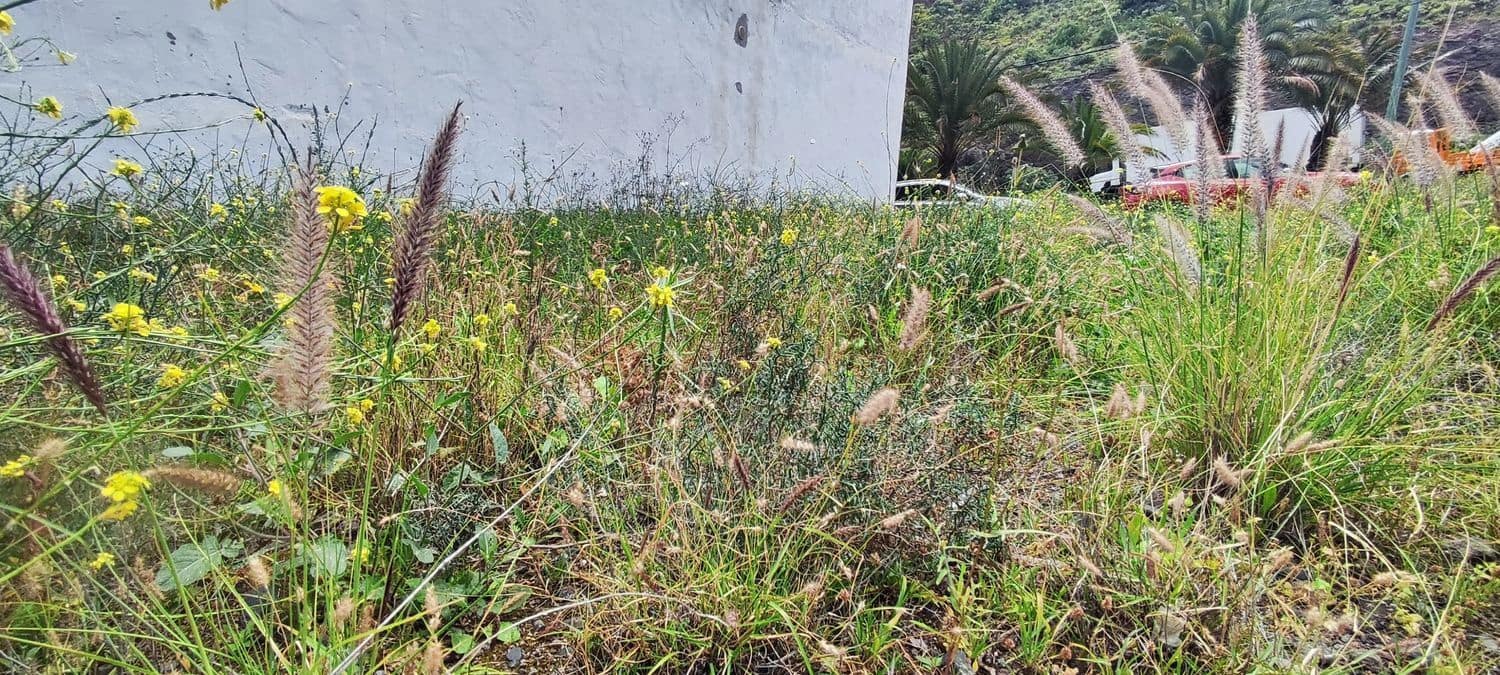 Terreno Não Urbanizado para venda em Las Palmas de Gran Canaria - 80 000 € (Ref: 9747426)